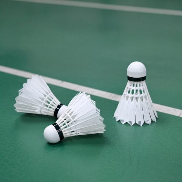 Charcoal 3-Pack Shuttlecocks