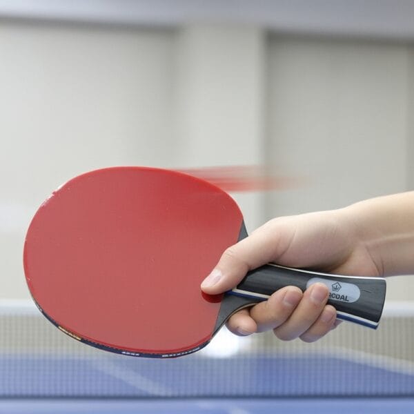 Charcoal Table Tennis Racket
